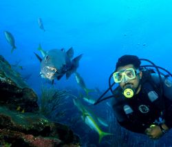 Roatan, Bay Islands of Honduras. by Shawn Jackson 